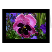 Purple Pansy cards