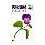 Purple Pansy Flower Postage