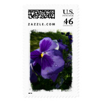 Purple Pansy Stamp