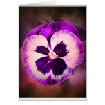 Purple Pansy With Water Droplets Cards