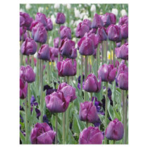 Purple Paradise Tulips flyers by sharonsphotography Purple Paradise Tulips flyers