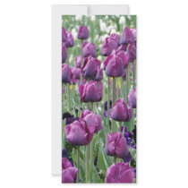 Purple Paradise Tulips rack cards by sharonsphotography Purple Paradise Tulips rack cards