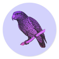 Purple Parrot stickers by purplestuff Purple Parrot stickers