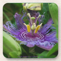 Purple Passion Cork Coasters cork coasters