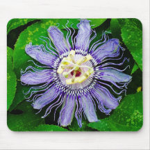 Purple Passion Flower... Mouse Pads