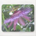 Purple Passion Flower Photo Mousepad