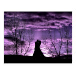 Purple Passion Post Card