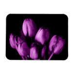 Purple Passion Premium Magnet magnets