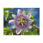 Purple Passion Save the Date Postcard