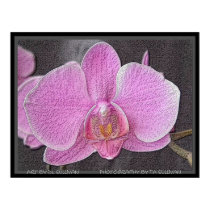 Purple Passions by TDGallery posters by tdgallery Purple Passions by TDGallery posters