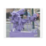 Purple Pedaller Post Cards