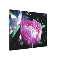 purple peony flowers gallery wrapped canvas