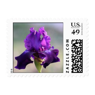 "Purple Perfection" Iris Photography Stamps
