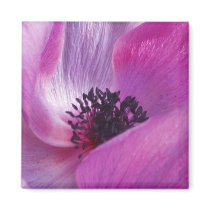 Purple Petals Magnet