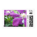 Purple Pettles Postage
