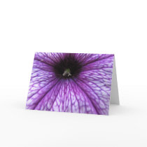 Purple Petunia Greeting Card