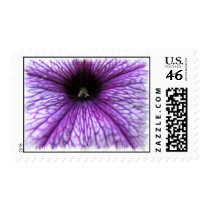 Purple Petunia Postage Stamp
