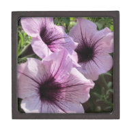 Purple Petunia Premium Gift Boxes