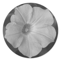 Purple Petunia stickers by princessklb07 Purple Petunia stickers