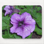PURPLE PETUNIAS mousepad