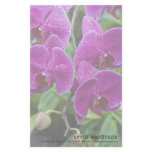 Purple Phalaenopsis Orchid stationery