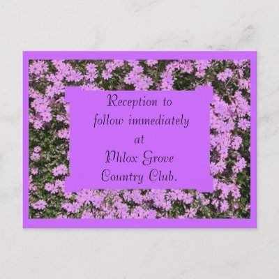 Purple Phlox Wedding Reception Card Post Cards by wondersofwnc
