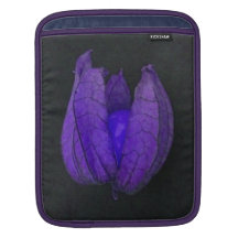 Purple Physalis Fruit iPad Sleeve