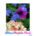 "Purple Pink Blue" Tee t-shirts