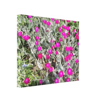 Purple pink flowers wrappedcanvas