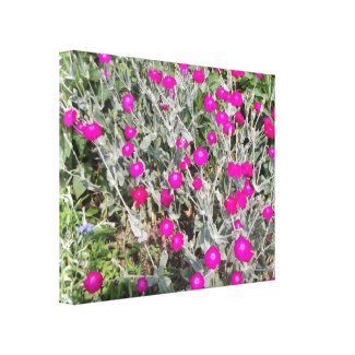 Purple pink flowers canvas prints
