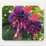 "Purple Pink Passion" Mousepad