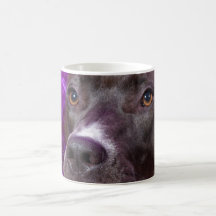 Purple Pit Bull Close Up Mug