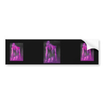 Purple Plaits and Panties bumper stickers by taiche Purple Plaits and Panties bumper stickers