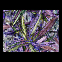 purple plant posters