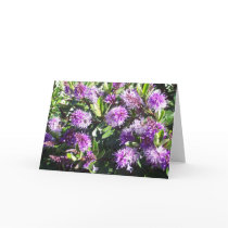 Purple Pleases cards by dru1982 Purple Pleases cards