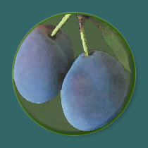 Purple Plums Watercolor - Magnet