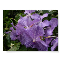 Purple posters