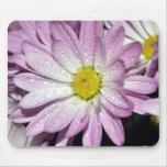 Purple Potted Mum Mousepads
