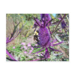 purple pow Postcard