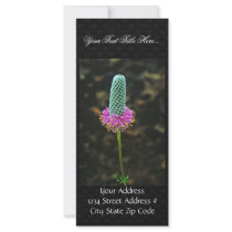 Purple Prairie Clover Rack Cards