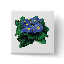 Purple Primroses buttons
