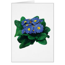 Purple Primroses cards