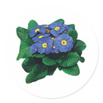 Purple Primroses stickers