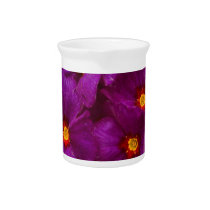 Purple Primula Flowers pitchers