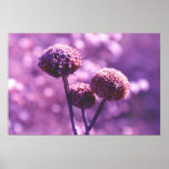 Purple Print