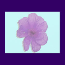 Purple Punch/ PopArt Flower postcards