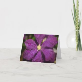 Purple Rained on Clematis Greeting Card