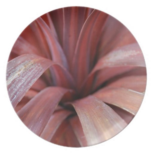 Purple/Red Cordyline Dinner Plates