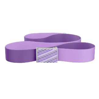 Purple Reversible Belt w/Striped Buckle