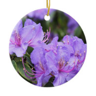 purple rhododendron flowers christmas ornament